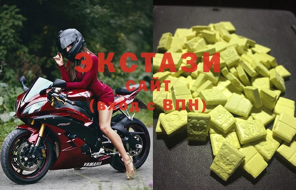 apvp Алзамай