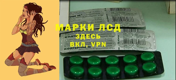 apvp Алзамай