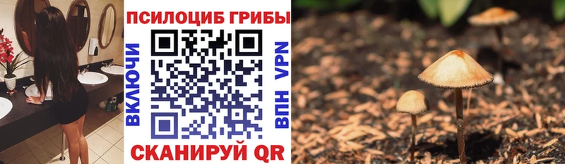 Галлюциногенные грибы ЛСД  ОМГ ОМГ сайт  Белореченск 
