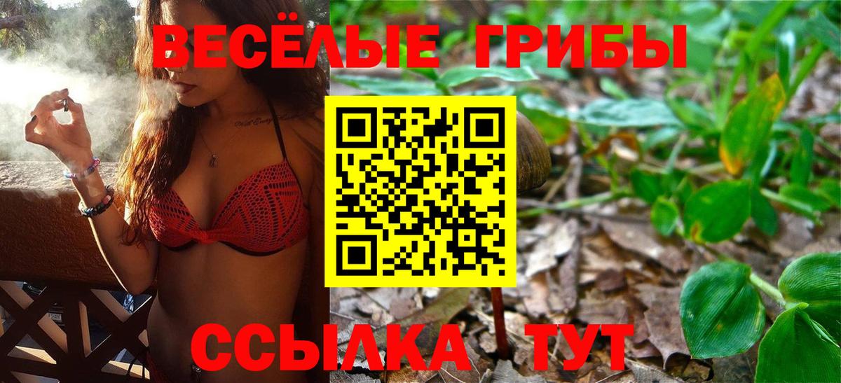 Галлюциногенные грибы мицелий  где найти   Белореченск  Вход с VPN 
